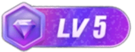 等级-LV5-智享云联