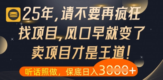 什么？25年你还在疯狂找项目做，醒醒吧，看完这些你全都懂了【揭秘】-创领云聚