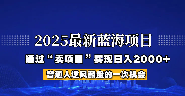 2025年蓝海项目，如何通过“网创项目”日入2000+-创领云聚