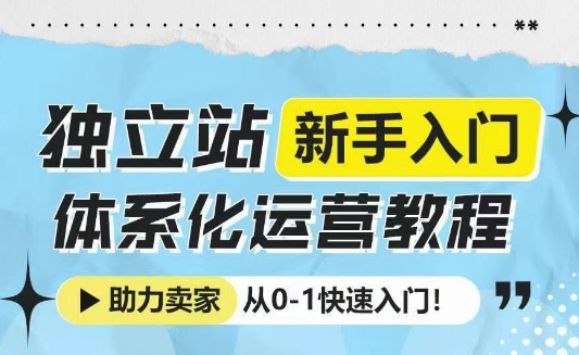 独立站新手入门体系化运营教程，助力独立站卖家从0-1快速入门!-创领云聚