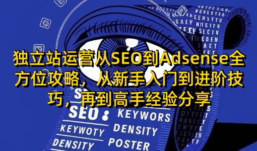 独立站运营从SEO到Adsense全方位攻略，从新手入门到进阶技巧，再到高手经验分享-创领云聚