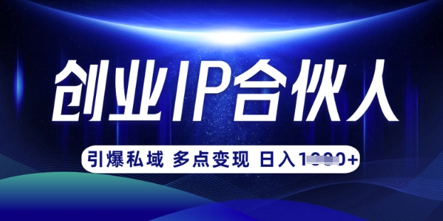 云帆·创业ip合伙人打造3.0，从0到1教你做网创，实现月入过W-创领云聚