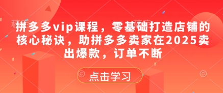 拼多多vip课程，零基础打造店铺的核心秘诀，助拼多多卖家在2025卖出爆款，订单不断-创领云聚