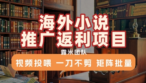 海外小说推广返利项目，视频投喂， 一刀不剪，矩阵批量-创领云聚