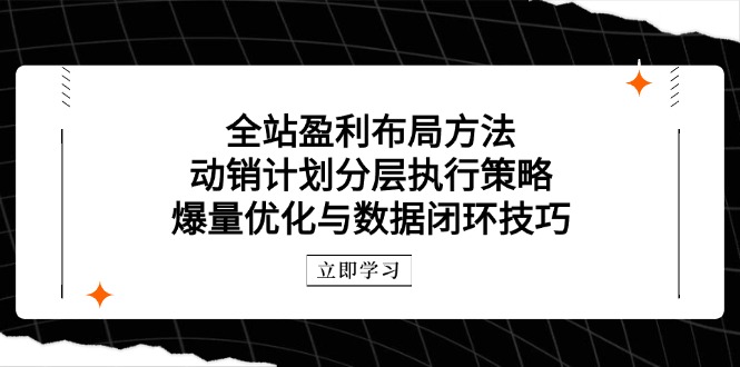 全站盈利布局方法：动销计划分层执行策略，爆量优化与数据闭环技巧-创领云聚