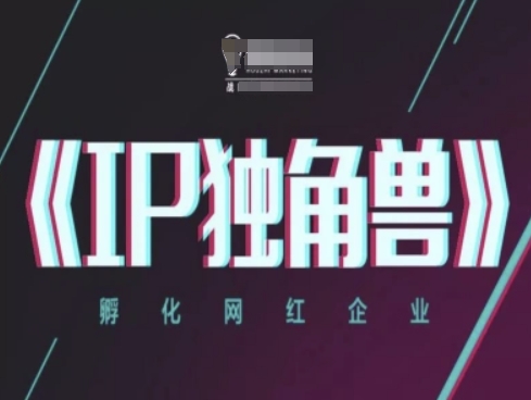 IP独角兽，孵化网红企业，ip教程-创领云聚