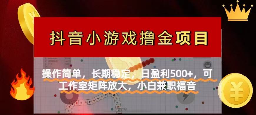 【抖音小游戏发行人计划项目】操作简单，长期稳定，日盈利500+，可工作…-创领云聚