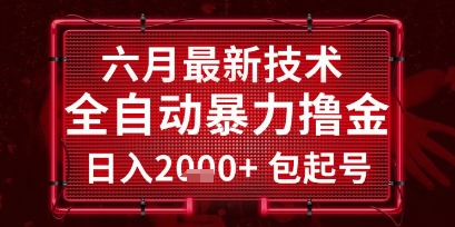 六月最新技术全自动暴力撸金，稳定日入2k+包起号，长期稳定【揭秘】-创领云聚