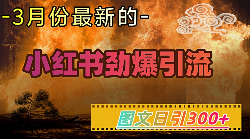 小红书超劲爆引流手段，图文日引300+轻松变现1W-创领云聚