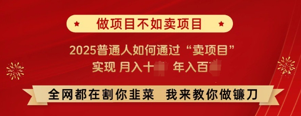 必看，做项目不如卖项目，2025普通人如何通过“卖项目”实现月入十个，年入百个-创领云聚
