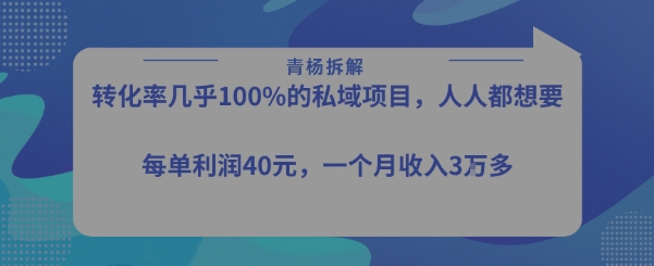 转化率最高的私域项目，每单利润40-50米，月入过1w-创领云聚