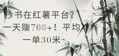抄书在小红薯平台？平均一单30米，一天收益几张！-创领云聚