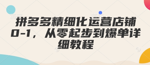 拼多多精细化运营店铺0-1，从零起步到爆单详细教程-创领云聚