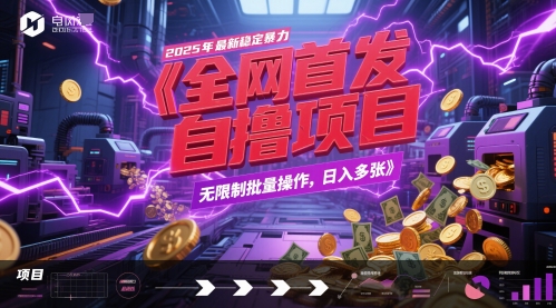 全网首发，2025年最新稳定暴力全自动自撸项目，无限制批量操作，日入多张【揭秘】-创领云聚