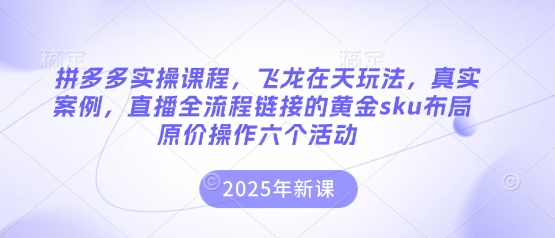 拼多多实操课程，飞龙在天玩法，真实案例，直播全流程链接的黄金sku布局原价操作六个活动-创领云聚