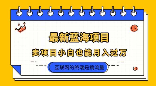 2025年最新蓝海项目，卖项目小白也能月入过万-创领云聚