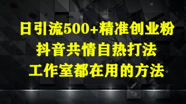 日引流500+精准创业粉，抖音共情自热打法，工作室都在用的方法-创领云聚