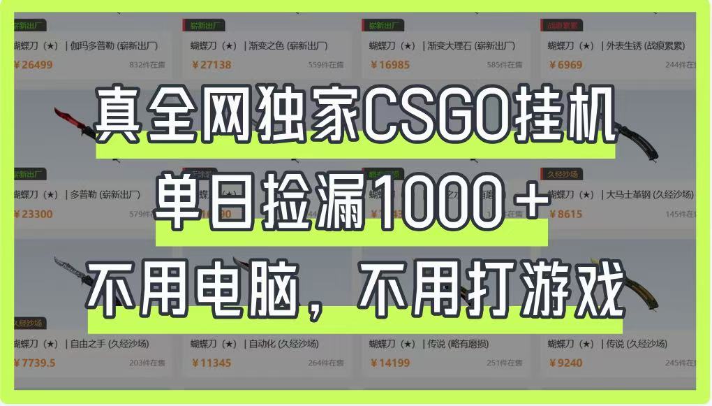 真全网独家CSGO挂机，单日捡漏1000+，不用电脑，不用养号-创领云聚