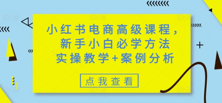 小红书电商高级课程，新手小白必学方法，实操教学+案例分析-创领云聚