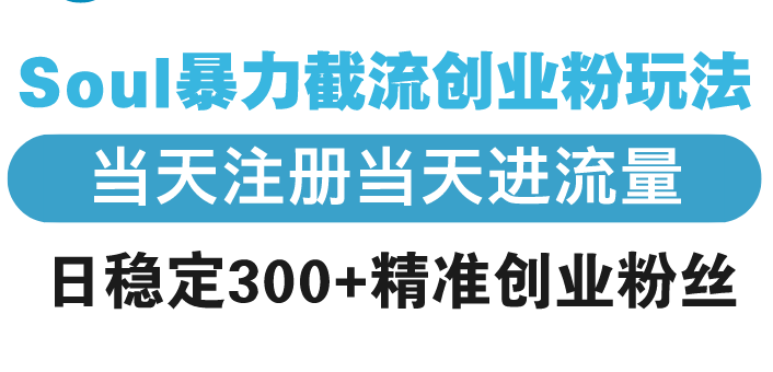 Soul暴力截流创业粉玩法，当天注册当天进流量，日稳定300+精准创业粉丝-创领云聚