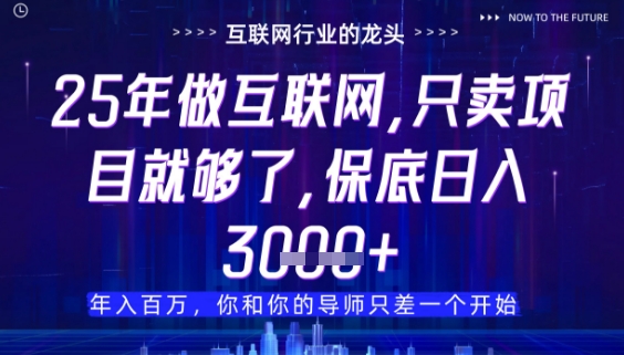 什么！25年你还在找项目做？风口早就变了，卖项目才是稳挣不赔【揭秘】-创领云聚