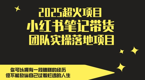 2025超火项目，副业最佳选择，小红书笔记带货团队实操落地项目，，轻松日入5张-创领云聚