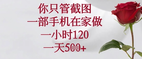 你只管截图，一部手机在家做，苹果安卓都可以，一小时120，一天5张+【揭秘】-创领云聚