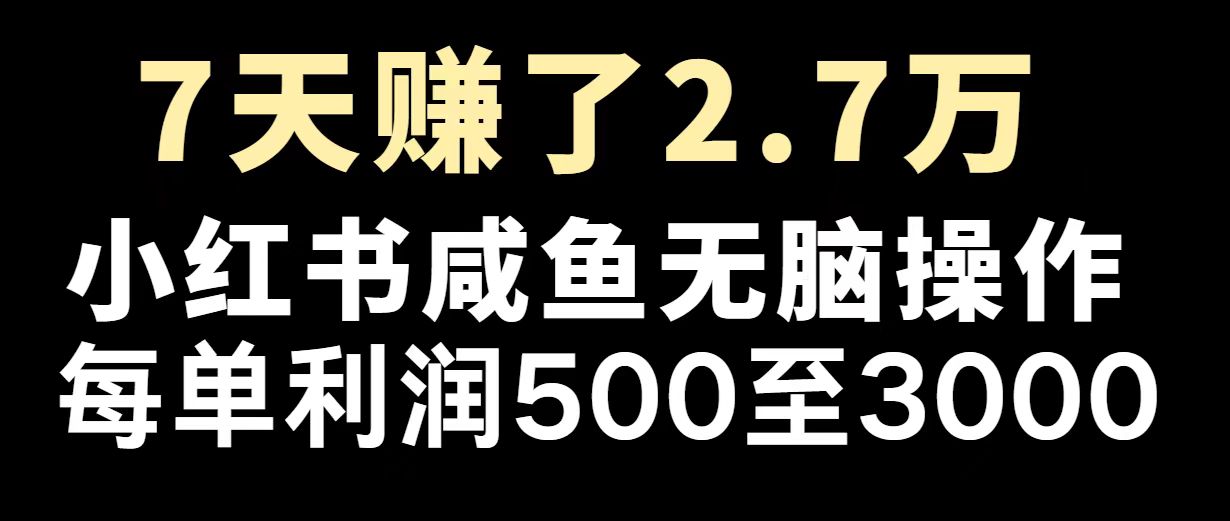 最赚钱项目之一，2025爆火，逆风翻盘！-创领云聚