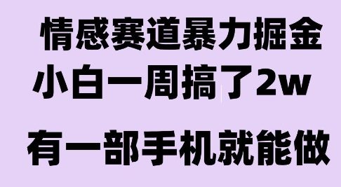 情感暴力掘金项目，新人操作一周挣了2W，长期稳定小白可做【揭秘】-创领云聚
