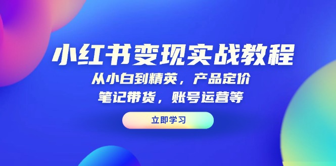 小红书变现实战教程：从小白到精英，产品定价，笔记带货，账号运营等-创领云聚