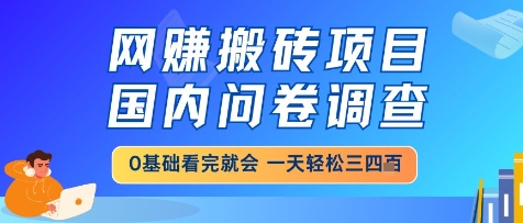 网创搬砖项目，国内问卷调查，小白轻松上手，一天三四张的也不难，干就完了【揭秘】-创领云聚