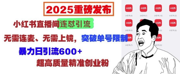 2025重磅发布：小红书直播间连怼引流，无需连麦、无需上镜，突破单号限制，暴力日引流600+-创领云聚