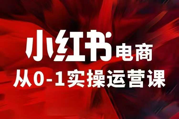 小红书电商运营，97节小红书vip内部课，带你实现小红书赚钱-创领云聚