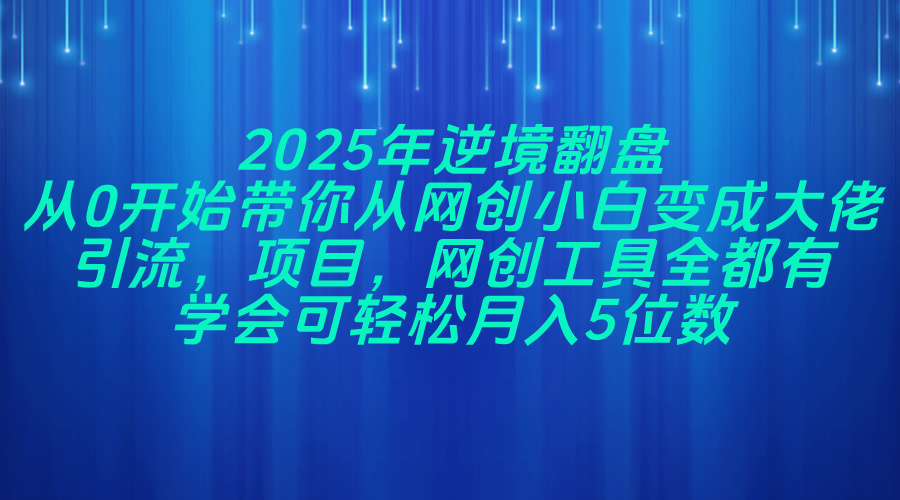 2025年逆境翻盘，从0开始带你从网创小白变成大佬，引流，项目，网创工…-创领云聚