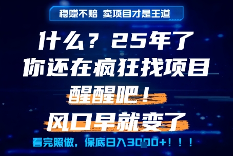 什么？25年你还在疯狂找项目做，醒醒吧，看完这些你全都懂了！【揭秘】-创领云聚