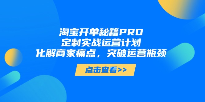 淘宝开单秘籍PRO，定制实战运营计划，化解商家痛点，突破运营瓶颈-创领云聚