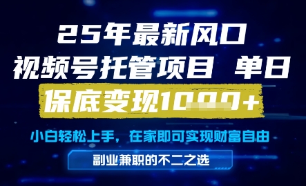 25年最新风口，视频号托管项目，单日保底变现1k+，手把手教学【揭秘】-创领云聚