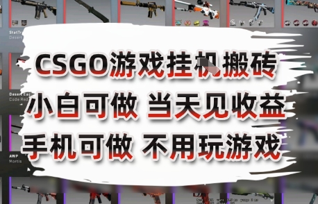 CSGO游戏挂G搬砖，小白纯手机即可操作，不用电脑打游戏，日入3张+，副业网创项目【揭秘】-创领云聚