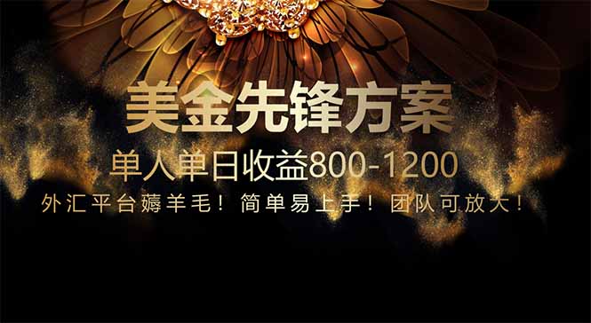 免费技术！小众赛道！一年布局抵三年努力，每日800+-创领云聚