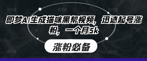 即梦AI生成猫咪黑帮视频，迅速起号涨粉，一个月5k-创领云聚