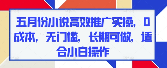 五月份小说高效推广实操，0成本，无门槛，长期可做，适合小白操作-创领云聚