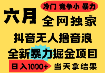 25年6月高爆抖音无人直播最新撸音浪掘金项目，小白可做，无脑日入1k+，门槛低可批量矩阵【揭秘】-创领云聚