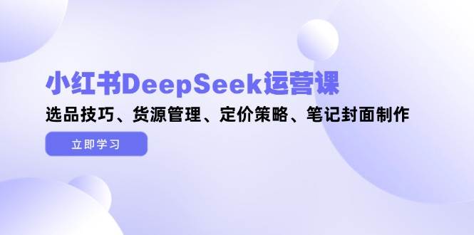小红书DeepSeek运营课，选品技巧、货源管理、定价策略、笔记封面制作-创领云聚