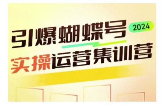 引爆蝴蝶号实操运营，助力你深度掌握蝴蝶号运营，实现高效实操，开启流量变现之路-创领云聚