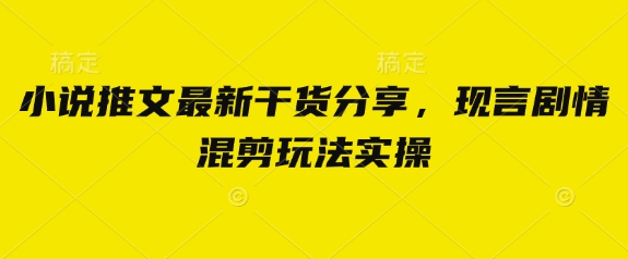 小说推文最新干货分享，现言剧情混剪玩法实操-创领云聚