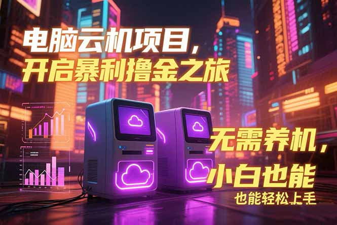 电脑云机项目 暴力撸金玩法，不需要养机 配置没有要求 单机100个窗口一…-创领云聚