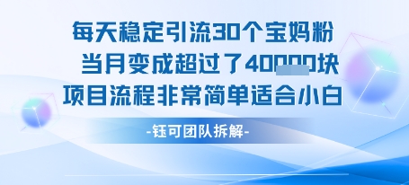 每天稳定引流30个人 当月变成超过了4个W项目流程非常简单适合小白-创领云聚