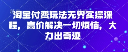 淘宝付费玩法无界实操课程，高价解决一切烦恼，大力出奇迹-创领云聚