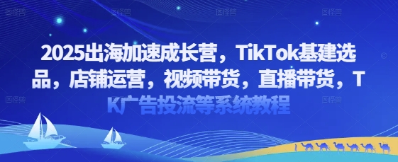 2025出海加速成长营，TikTok基建选品，店铺运营，视频带货，直播带货，TK广告投流等系统教程-创领云聚