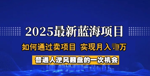 2025蓝海项目，普通人如何通过卖项目，实现月入过W，全过程【揭秘】-创领云聚